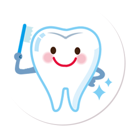 ③ ブラッシング指導します。